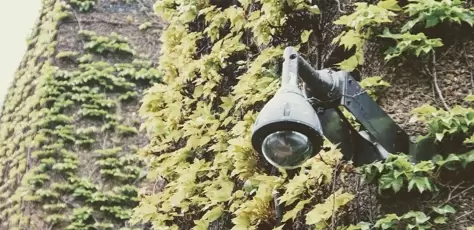 环境监测与检测