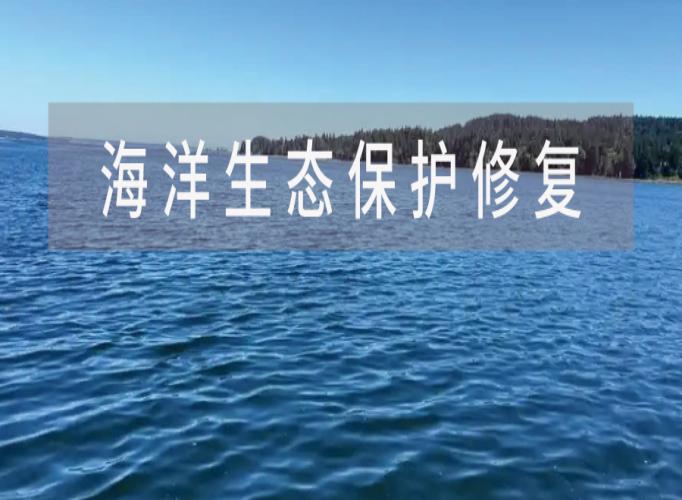 海洋生态保护修复资金管理办法，今日施行
