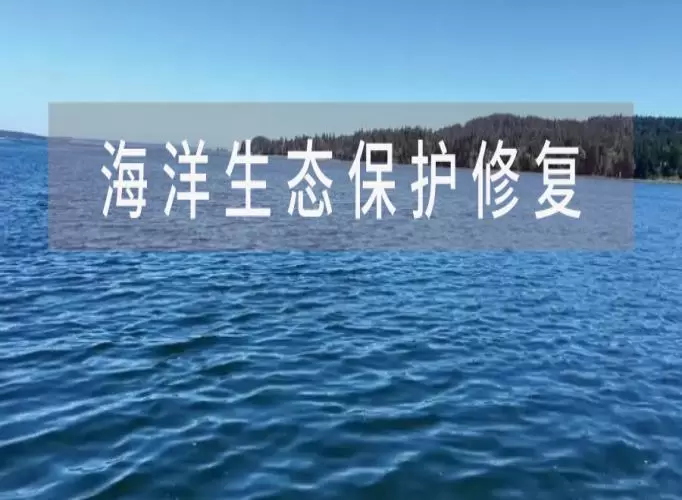 海洋生态保护修复资金管理办法，今日施行