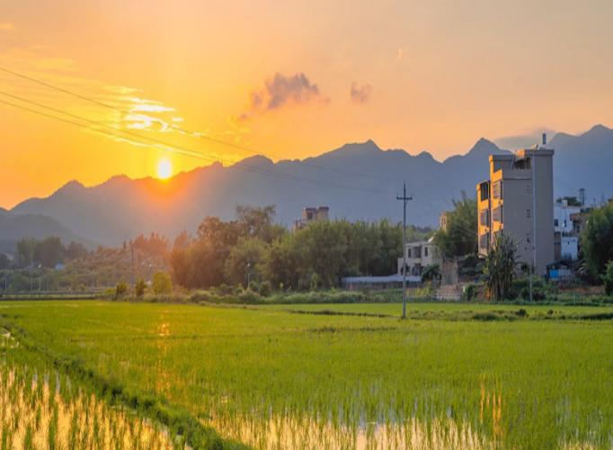 中央一号文件信号！农村生活垃圾治理进入新阶段