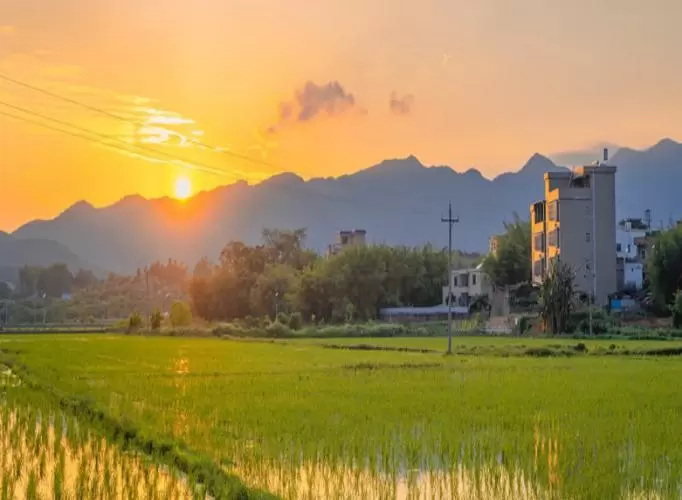 中央一号文件信号！农村生活垃圾治理进入新阶段