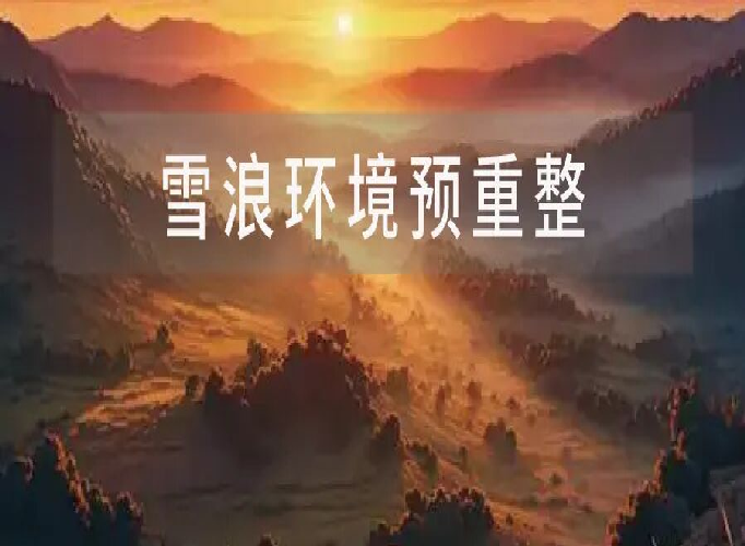 雪浪环境，预重整进行时